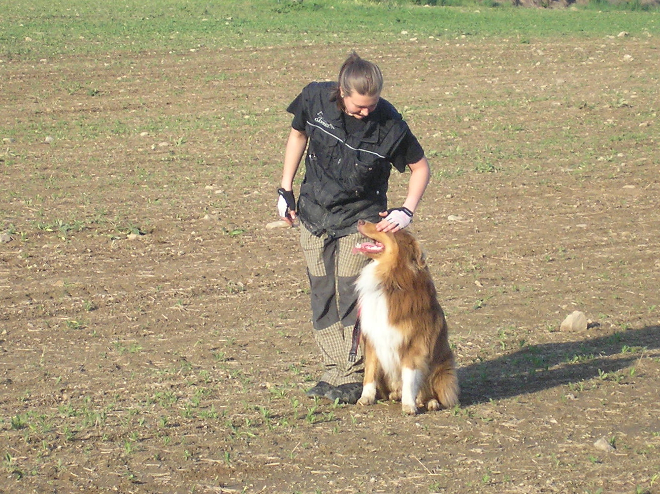 chváleníčko